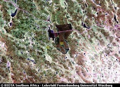 Satellite Image: Observatory Ogongo (S42) Satellite Image